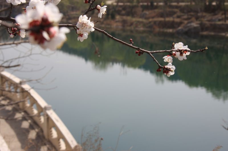 林州风光