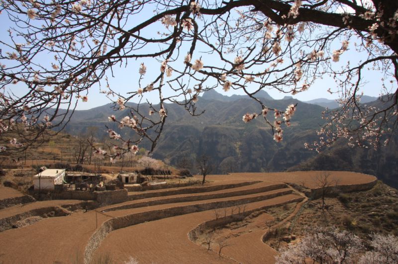 林州风光