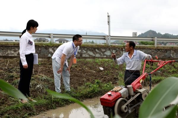 浙江：同频发力共下一盘棋