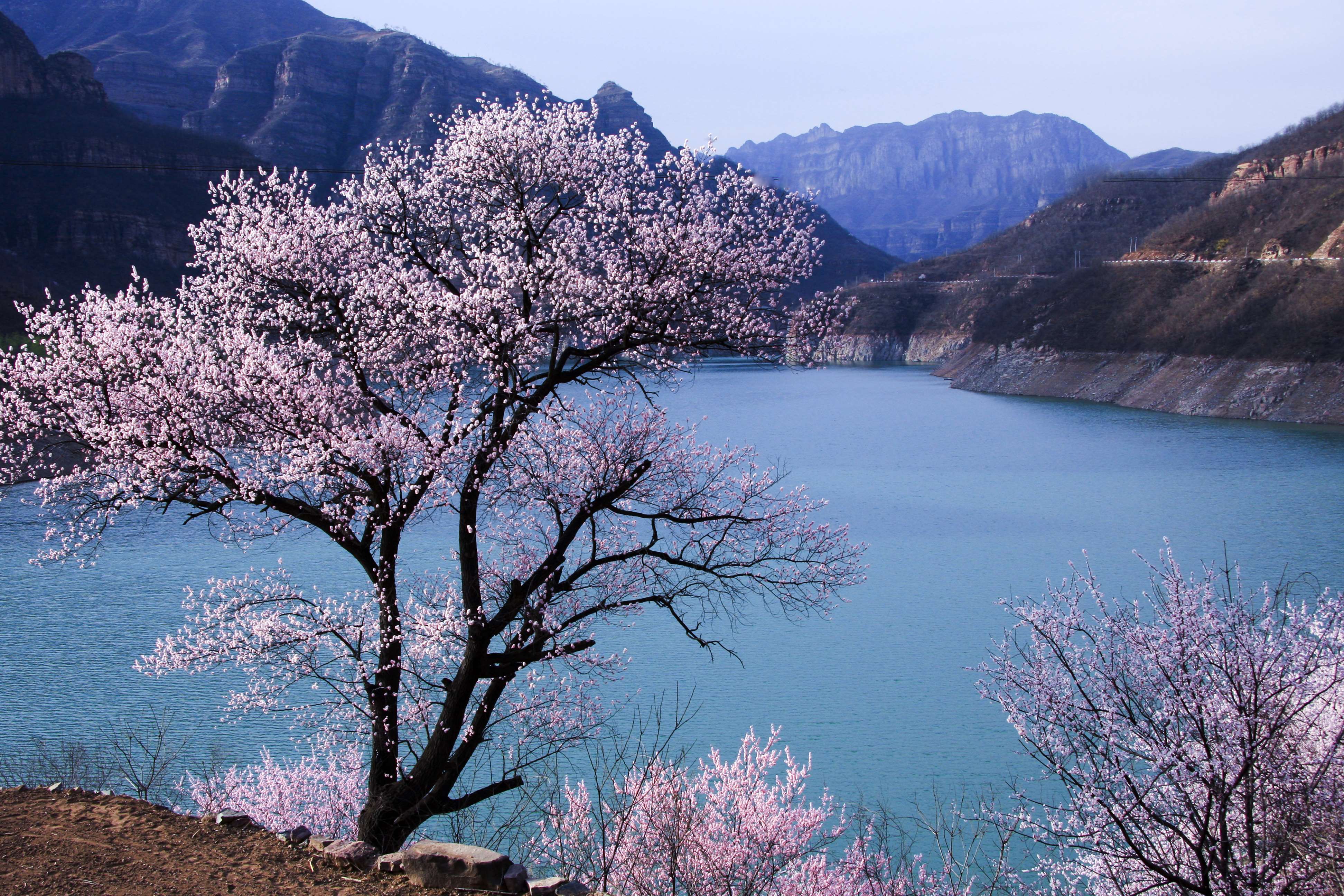 林州风光