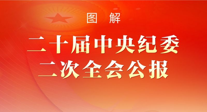图解丨二十届中央纪委二次全会公报