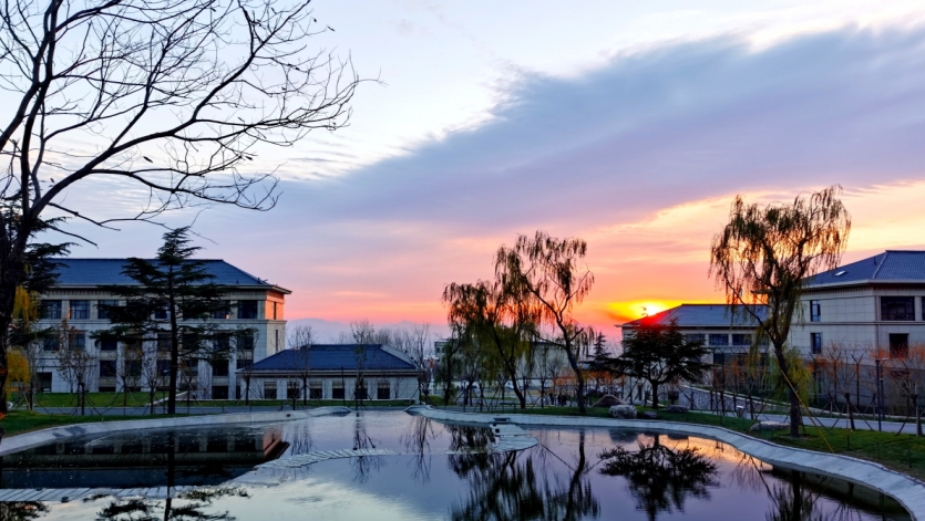 学院5
