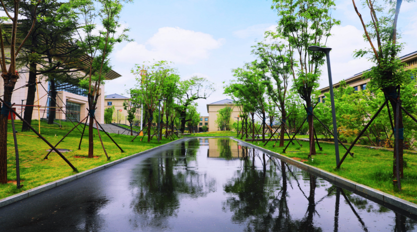 学院7