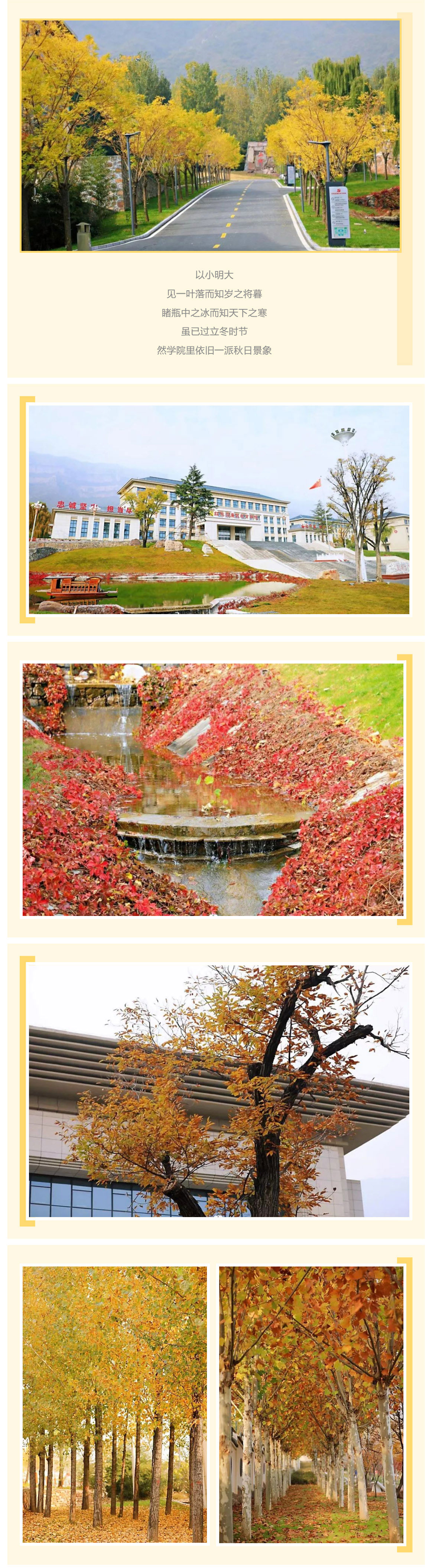 红廉院景-·-且把绿意换金黄_美编助手_01