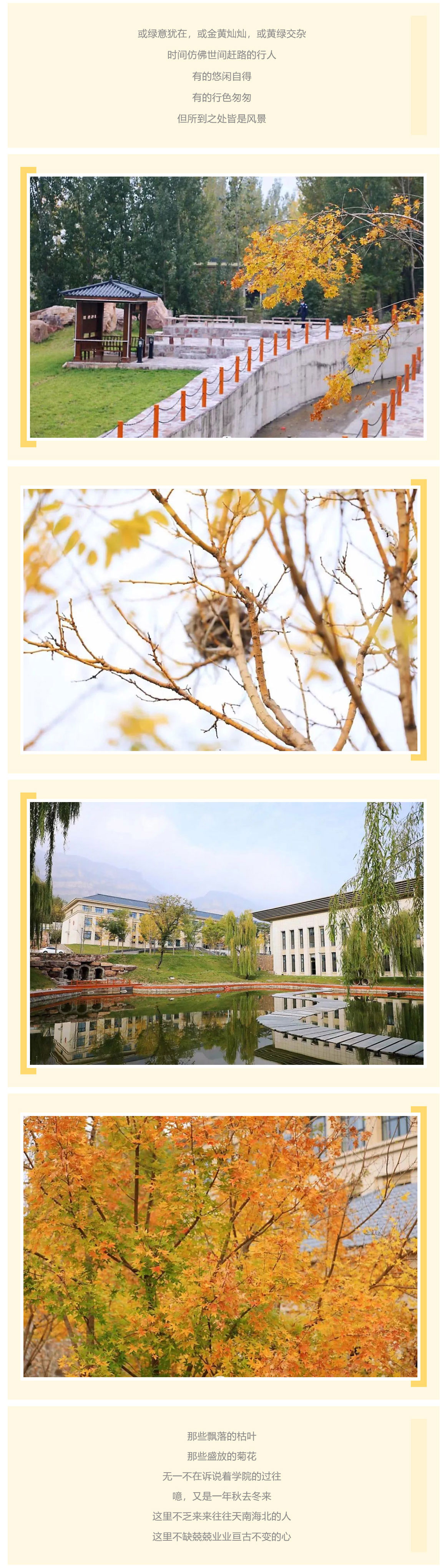 红廉院景-·-且把绿意换金黄_美编助手_02