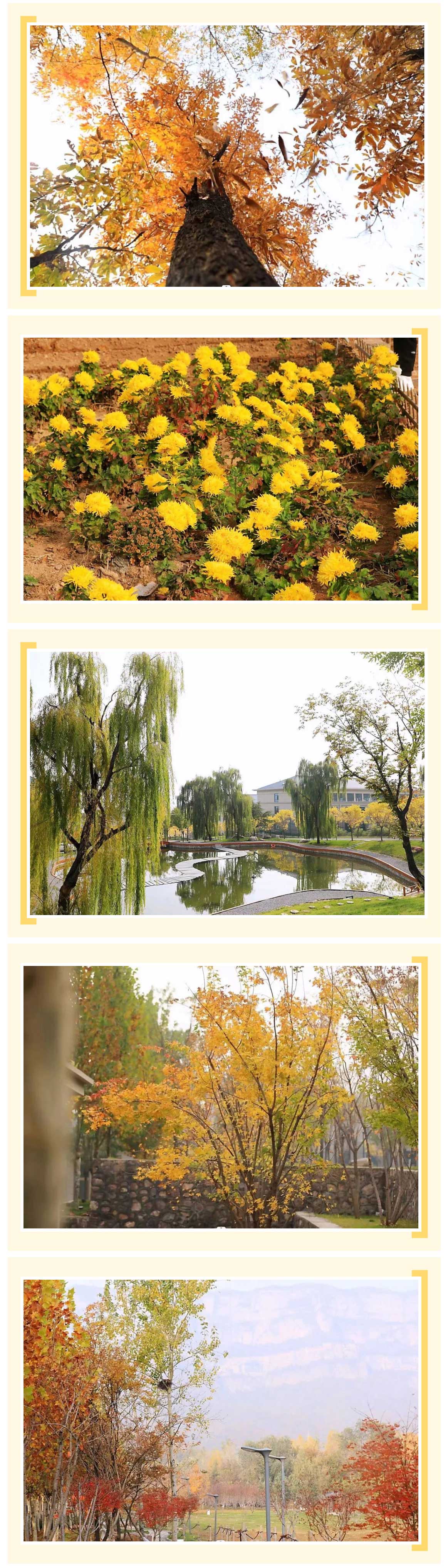 红廉院景-·-且把绿意换金黄_美编助手_03